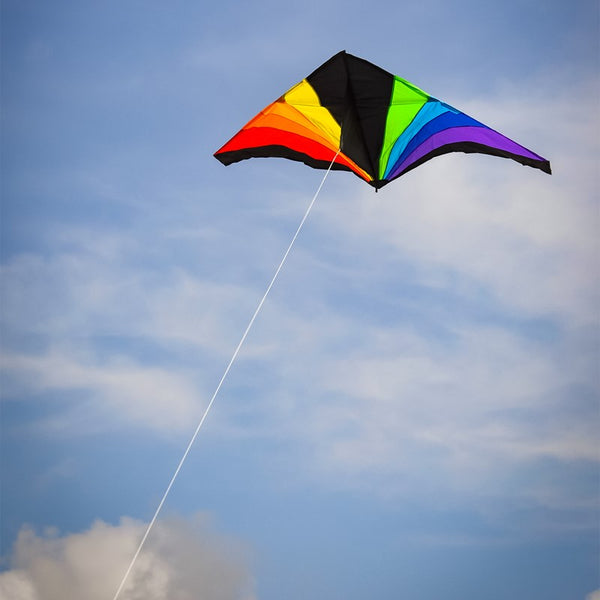 "Rainbow Black" Delta Kite with Line Included