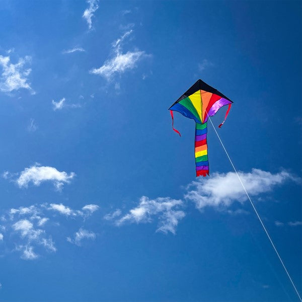 "Mini Rainbow" Fly-Hi Delta Kite with Line Included