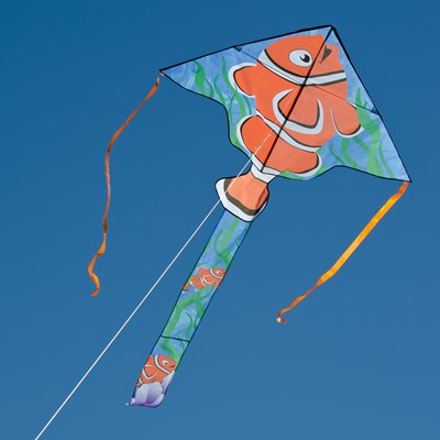 "Clownfish" Fly-Hi Delta Kite with Line Included