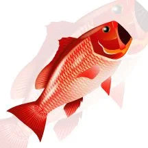 "3D Red Snapper" Fish Windsock