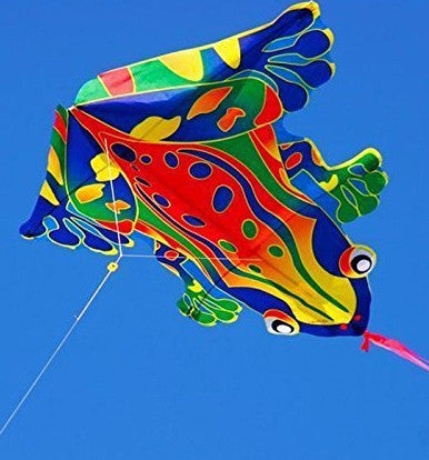 Mini Frog Kite with Line Included