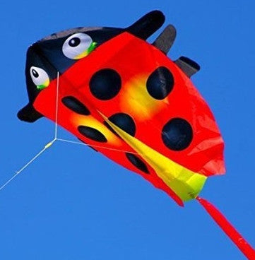 Mini Ladybug Kite with Line Included