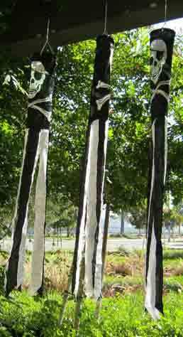 Super Shiny "Pirate" Wind Sock
