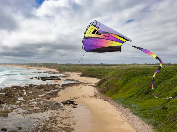 "Sinewave" Kite with Line Included