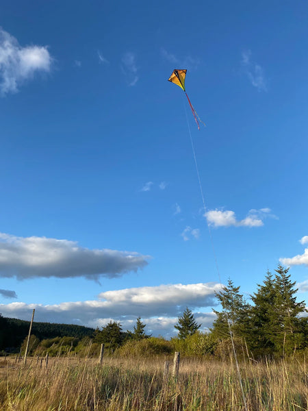 "Vertex" High-Flying Diamond Kite with Line Included