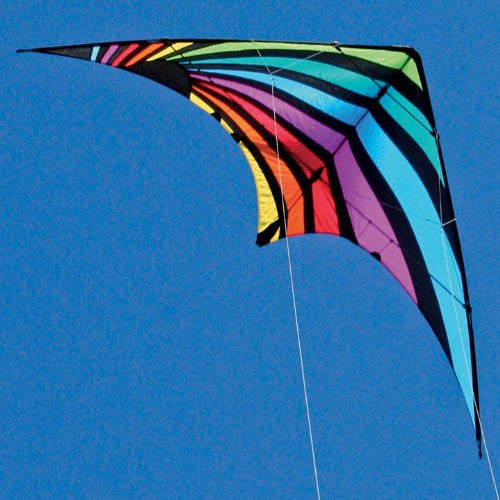 "Dream On" Dual Line Stunt Kite with Line & Wrist Straps