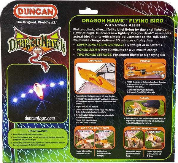 "Dragon Hawk" Flying Bird Glider