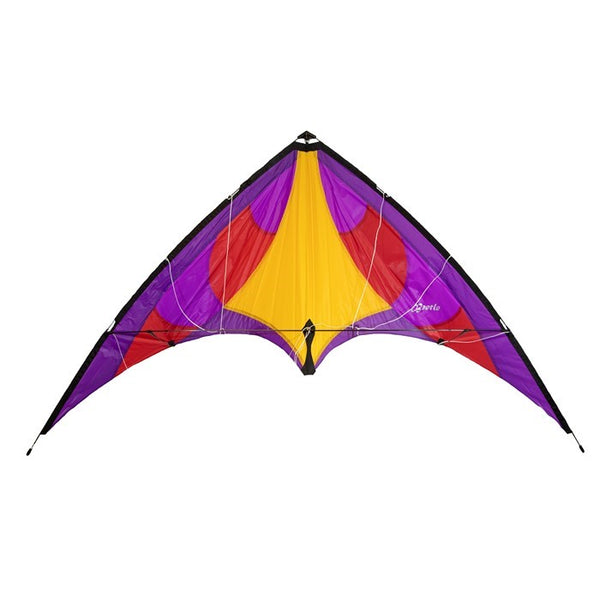 "Beetle" Stunt Kite with Spectra Line & Wrist Straps