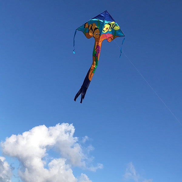 Clownfish Fly-Hi Delta Kite with Line Included