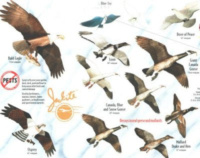 "Jackite" 3D Bird Kites