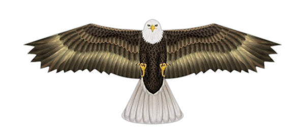 "Birds of Prey" Kite with Line & Handle Included