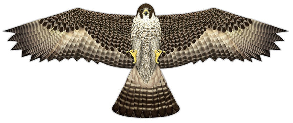 "Birds of Prey" Kite with Line & Handle Included