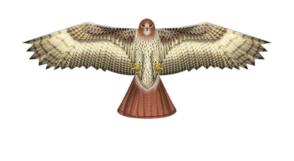 "Birds of Prey" Kite with Line & Handle Included